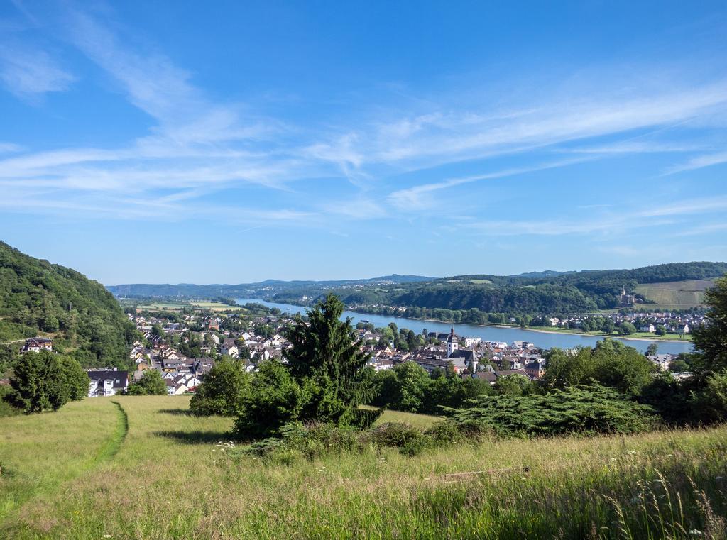Hotel Und Landgasthof Zum Bockshahn Spessart  Exterior foto